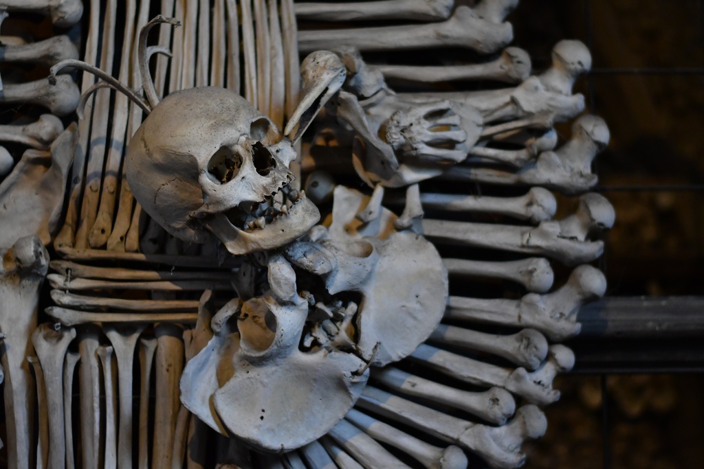 2018-10 Prague/Kutna Hora/DSC_5562.JPG